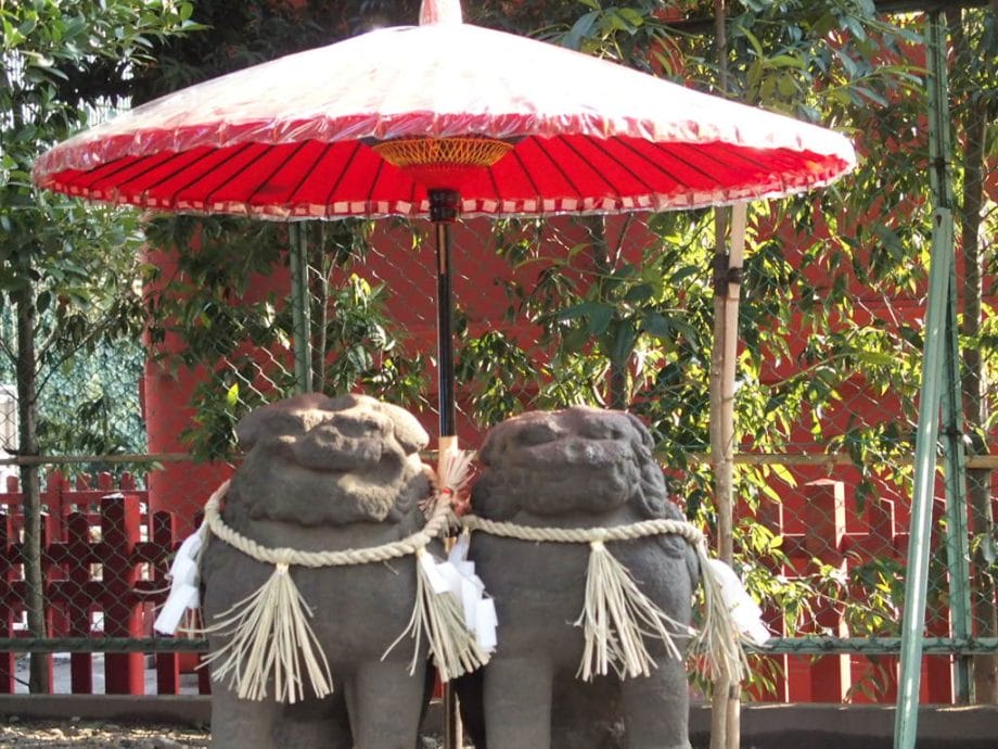 縁結びで有名な浅草神社の夫婦狛犬
