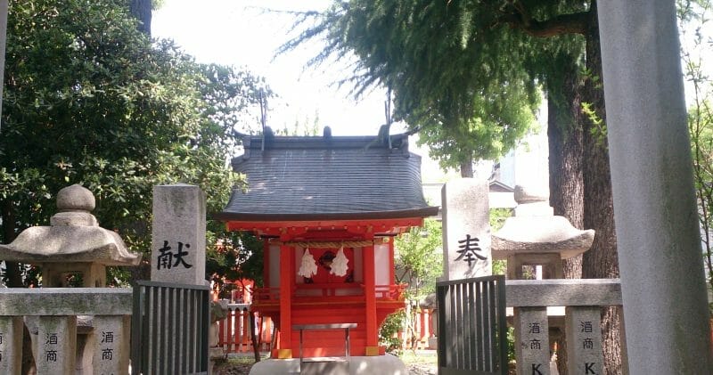生田神社の縁結びのパワースポット松尾神社の杉の木