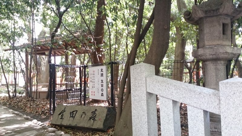 神戸三宮の生田神社のパワースポット生田の森