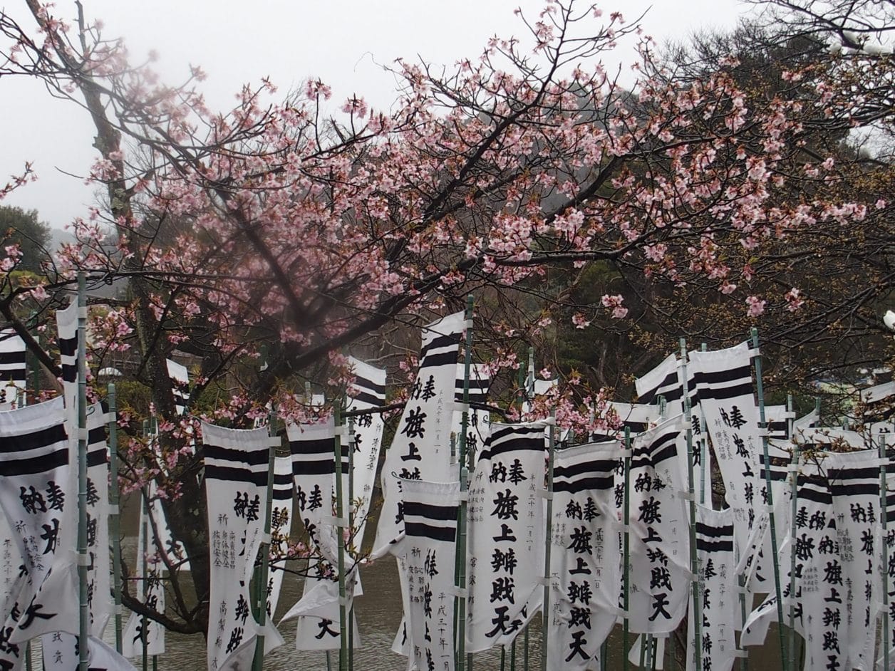 鶴岡八幡宮の源氏池の中にある旗上げ弁財天は勝利のパワースポット