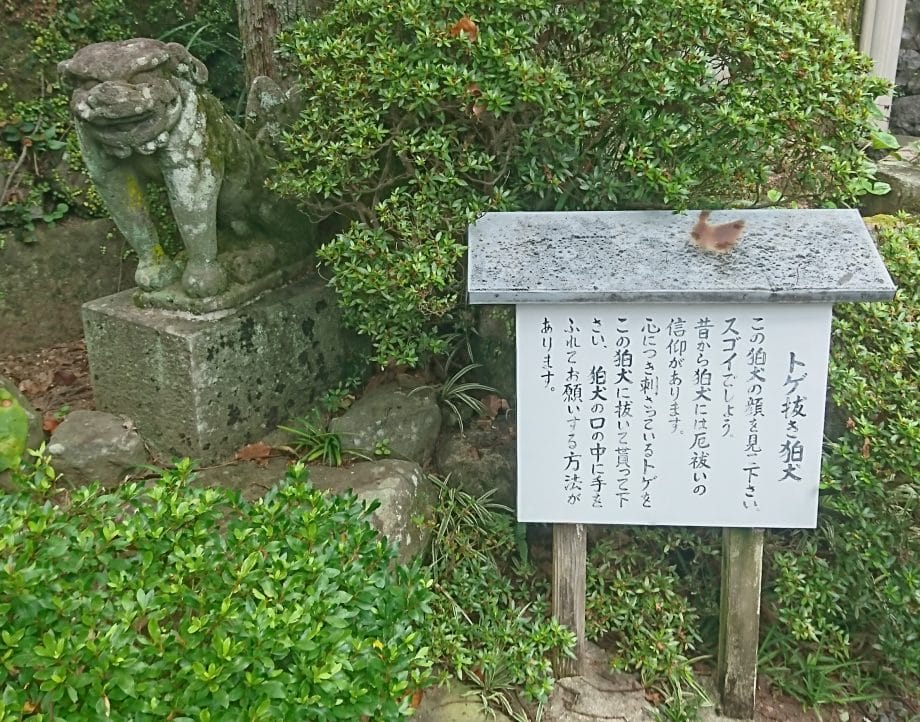 長崎諏訪神社のトゲ抜き狛犬