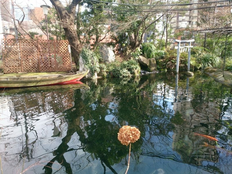 東京港区愛宕神社にある児盤水の池