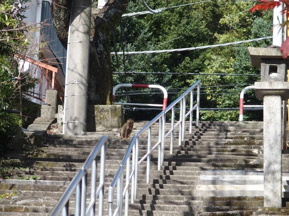 伊豆山神社参道の階段