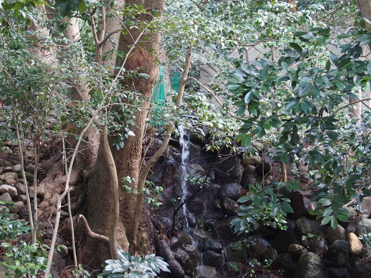 金沢の石浦神社の境内の御神池と湧水