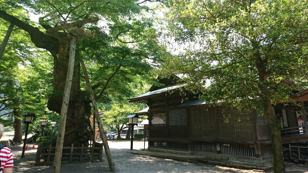津和野の太鼓谷稲成神社の千本鳥居に向かう道のり