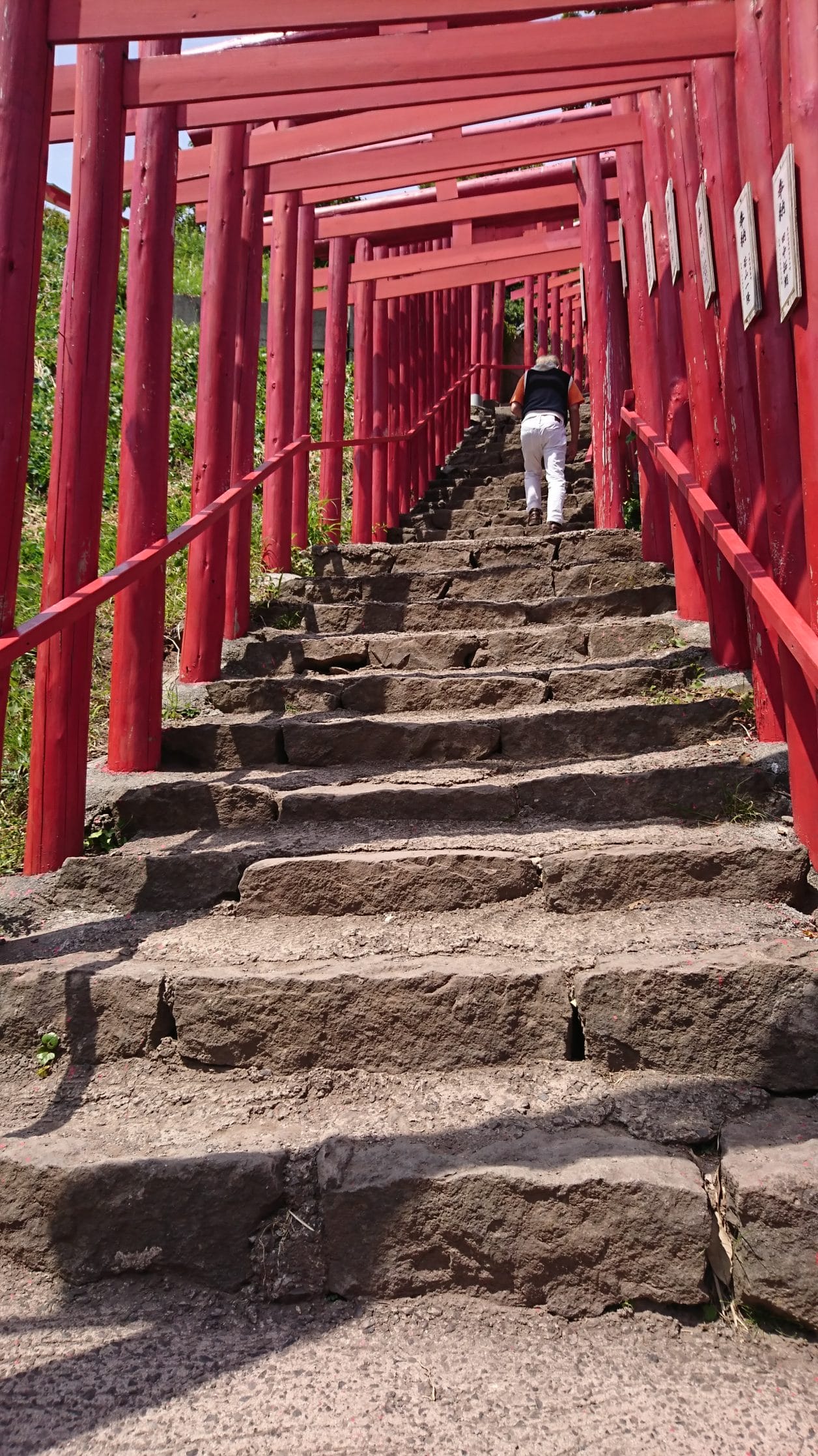 元乃隅神社の鳥居の道