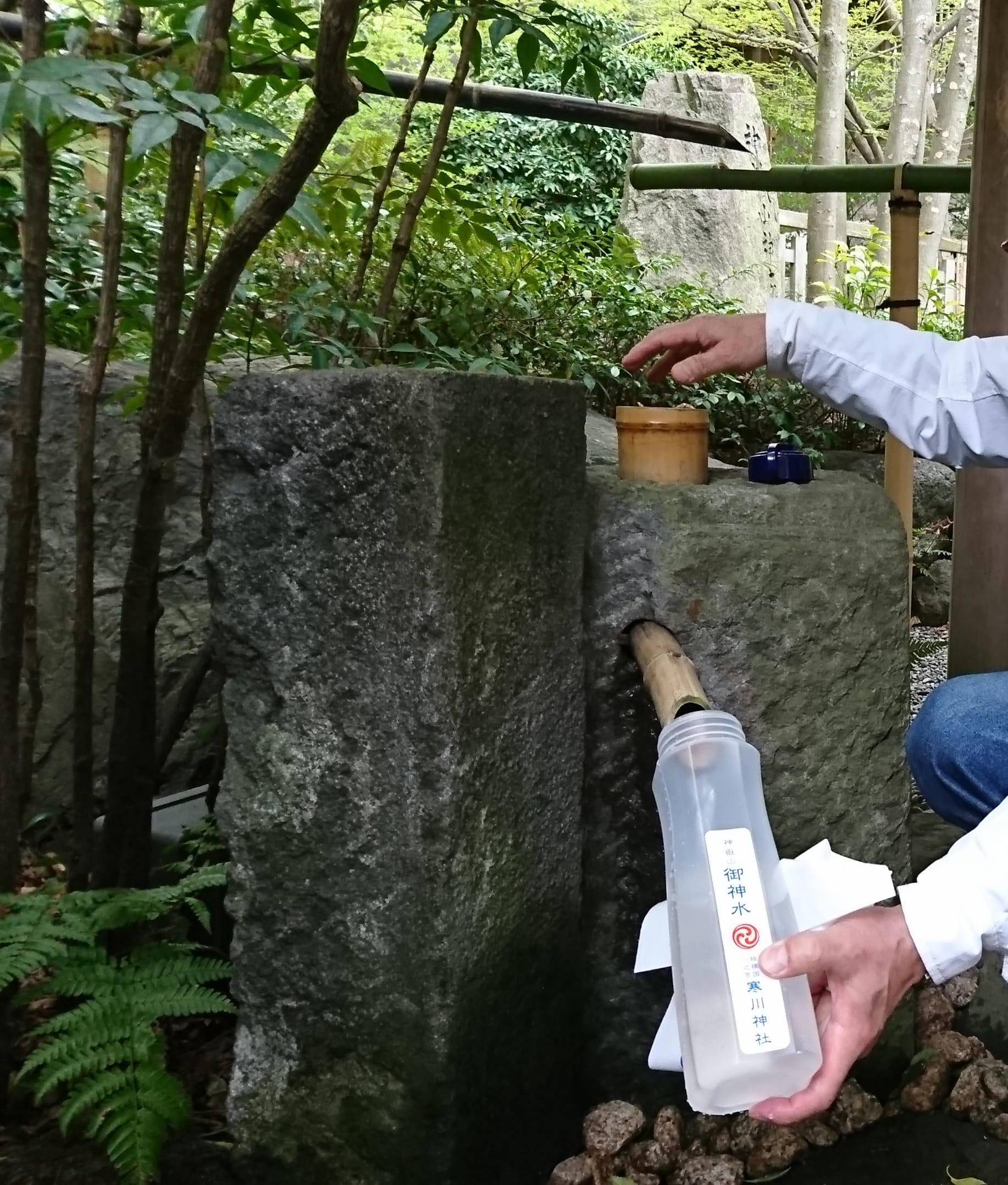 寒川神社 神嶽山神苑 入苑券 - その他