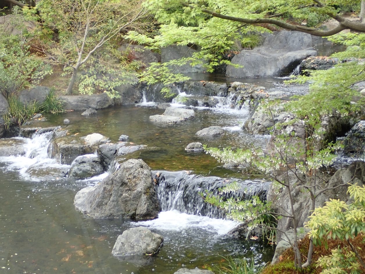 寒川神社の神嶽山神苑にある八氣の池