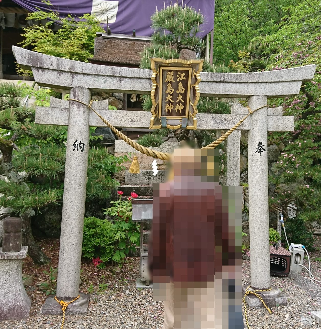 竹生島にある都久夫須麻神社の境内の江ノ島大神と厳島大神