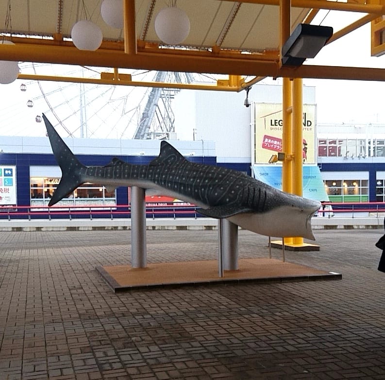 海遊館にあるジンベエザメの模型