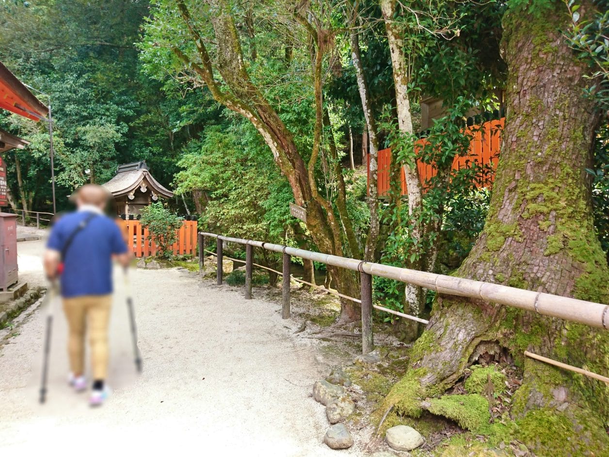 上賀茂神社の新宮神社に続く道