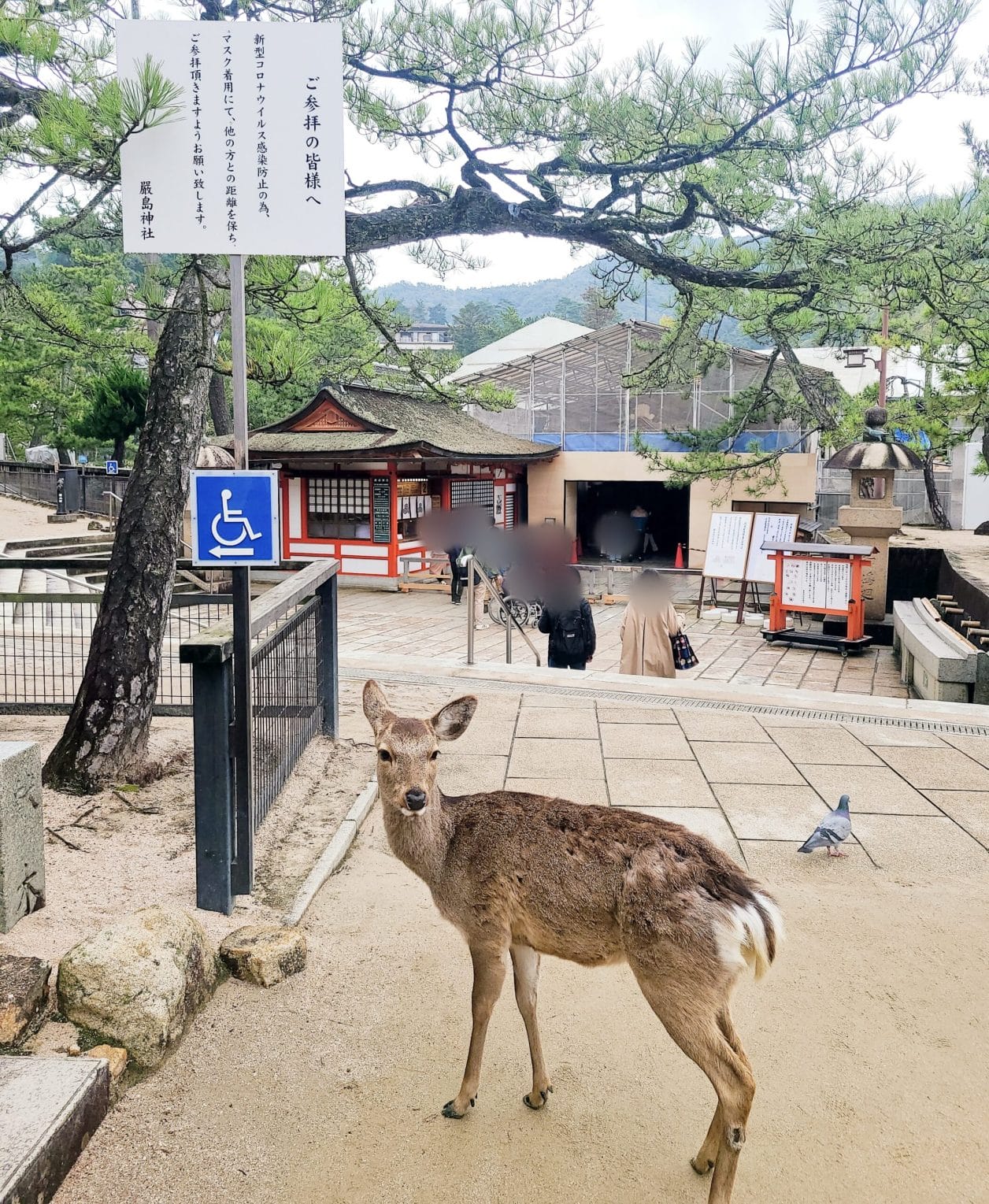 厳島神社の回廊の入り口
